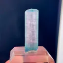 specimen video