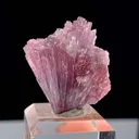 Tourmaline from Paprok, Nuristan, Afghanistan - image 5