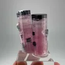 specimen video