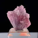 Tourmaline from Paprok, Nuristan, Afghanistan - image 3
