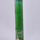 specimen video