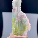 specimen video