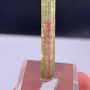 specimen video