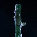 Tourmaline from Pederneira mine, São José da Safira, Minas Gerais, Brazil - image 5
