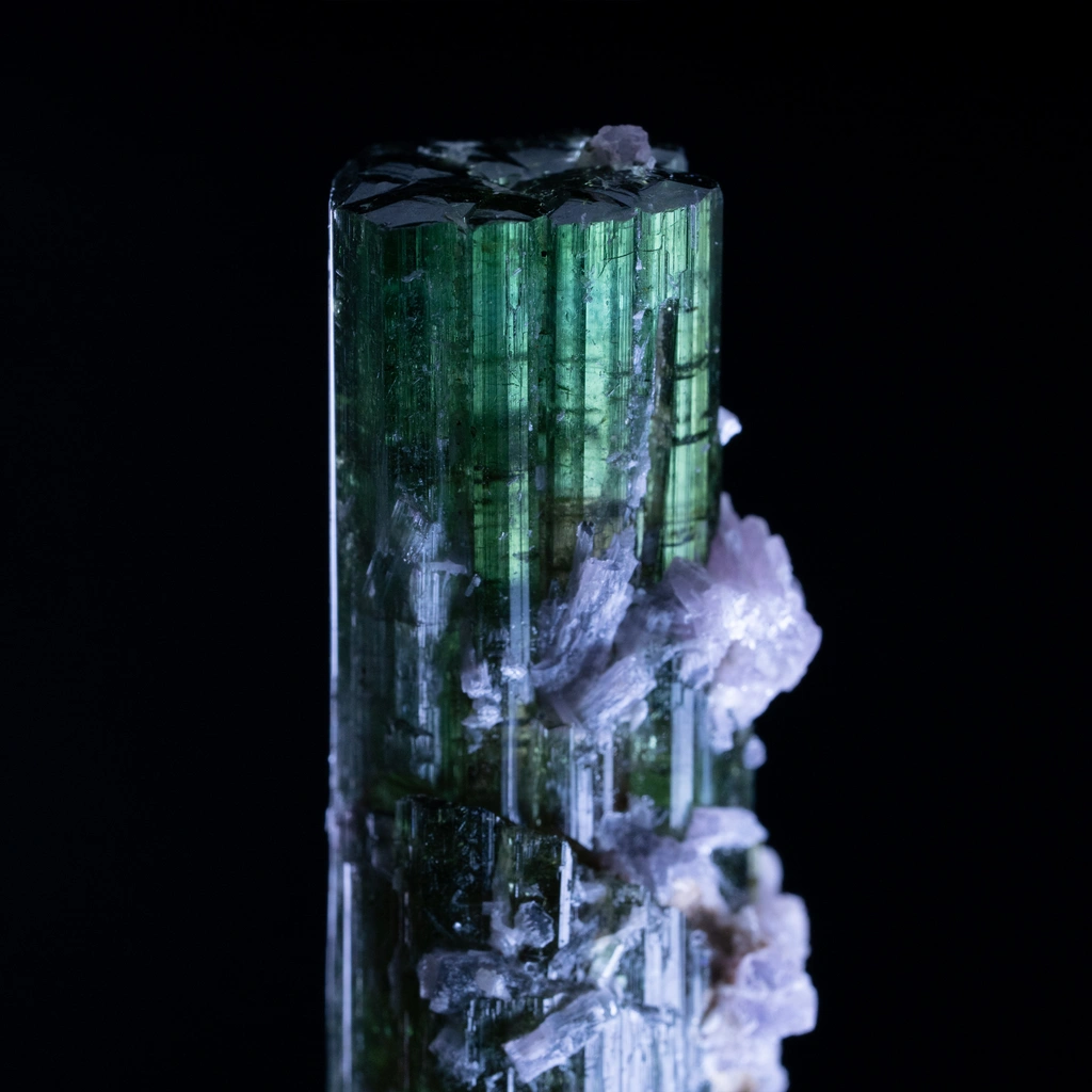 Tourmaline from Pederneira mine, São José da Safira, Minas Gerais, Brazil - image 4
