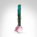 Tourmaline from Pederneira mine, São José da Safira, Minas Gerais, Brazil - image 1