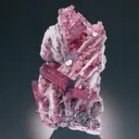 Tourmaline from Pederneira mine, São José da Safira, Minas Gerais, Brazil - image 2