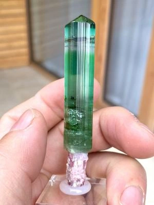 Tourmaline from Pederneira mine, São José da Safira, Minas Gerais, Brazil image