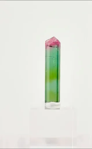 specimen video