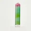 specimen video