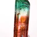 specimen video