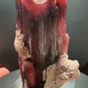 specimen video