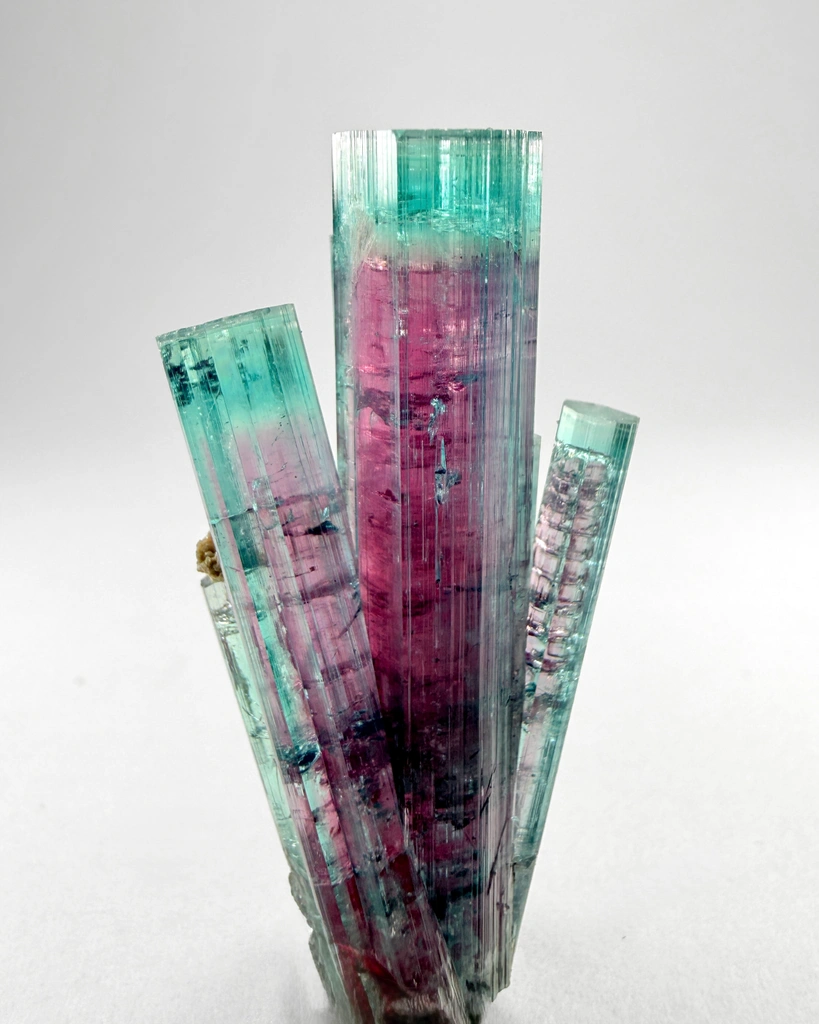 Tourmaline from Santa Rosa Mine, Minas Gerais, Brazil - image 3