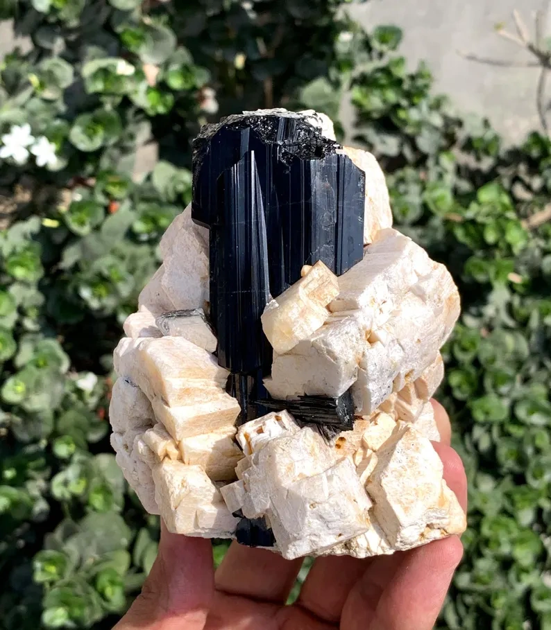 Tourmaline from Skardu District, Gilgit-Baltistan, Pakistan - image 6