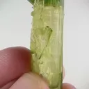 specimen video