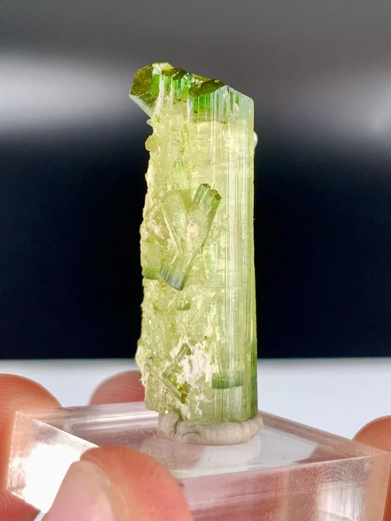 Tourmaline from Skardu District, Gilgit-Baltistan, Pakistan - image 7