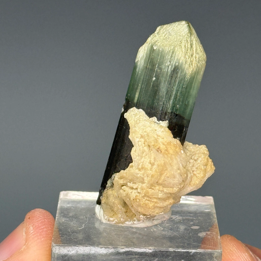 Tourmaline from Stak Nala, Haramosh Mts., Roundu District, Gilgit-Baltistan, Pakistan - image 4