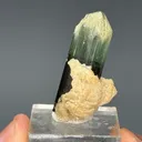 Tourmaline from Stak Nala, Haramosh Mts., Roundu District, Gilgit-Baltistan, Pakistan - image 4