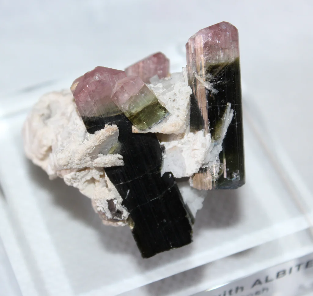 Tourmaline from Stak Nala, Haramosh Mts., Roundu District, Gilgit-Baltistan, Pakistan image