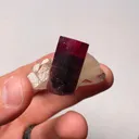 specimen video