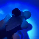 specimen video