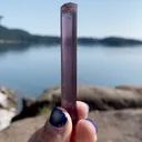 specimen video