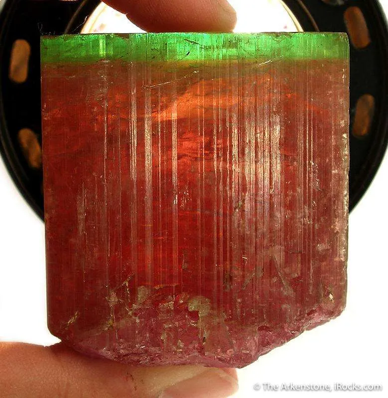 Tourmaline Green Cap Pocket - image 3