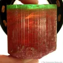 Tourmaline Green Cap Pocket - image 3