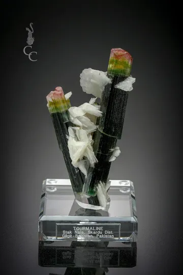 Tourmaline group with Albite var. Cleavelandite