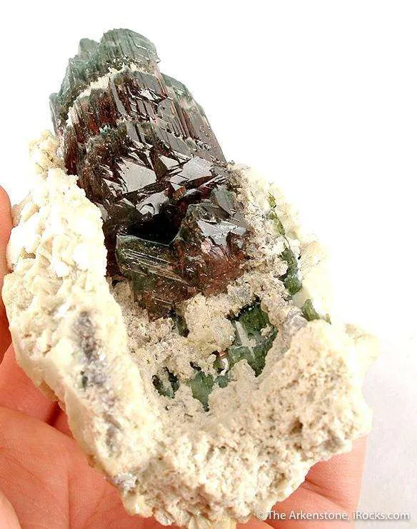 Tourmaline in Cast Of Cookeite After Tourmaline - image 3