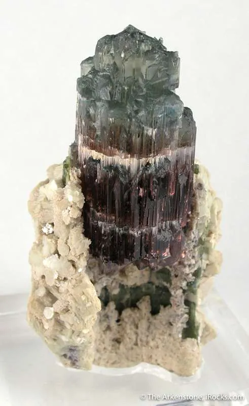 Tourmaline in Cast Of Cookeite After Tourmaline - image 2