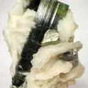 Tourmaline in Cleavelandite - image 1