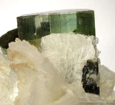 Tourmaline in Cleavelandite - image 3