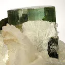 Tourmaline in Cleavelandite - image 3