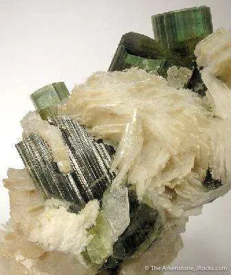 Tourmaline in Cleavelandite - image 4