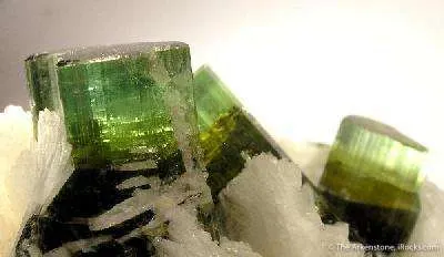 Tourmaline in Cleavelandite - image 2
