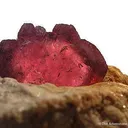 Tourmaline in Cleavelandite Nodule (With Negative Cast) - image 3