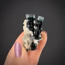 Tourmaline in Feldspar - image 2