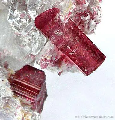 Tourmaline in Lepidolite - image 3
