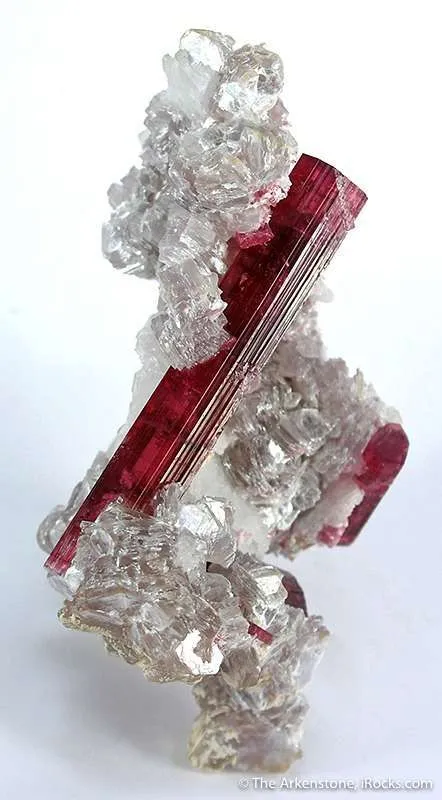 Tourmaline in Lepidolite image