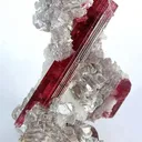 Tourmaline in Lepidolite - image 1