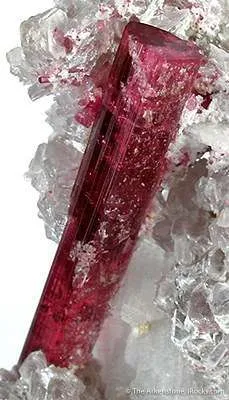 Tourmaline in Lepidolite - image 2