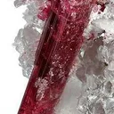 Tourmaline in Lepidolite - image 2