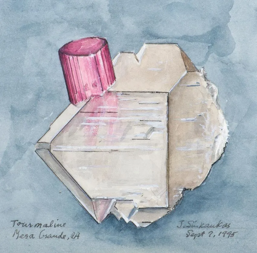 Tourmaline in Quartz image