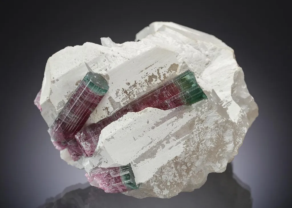Tourmaline in Quartz image