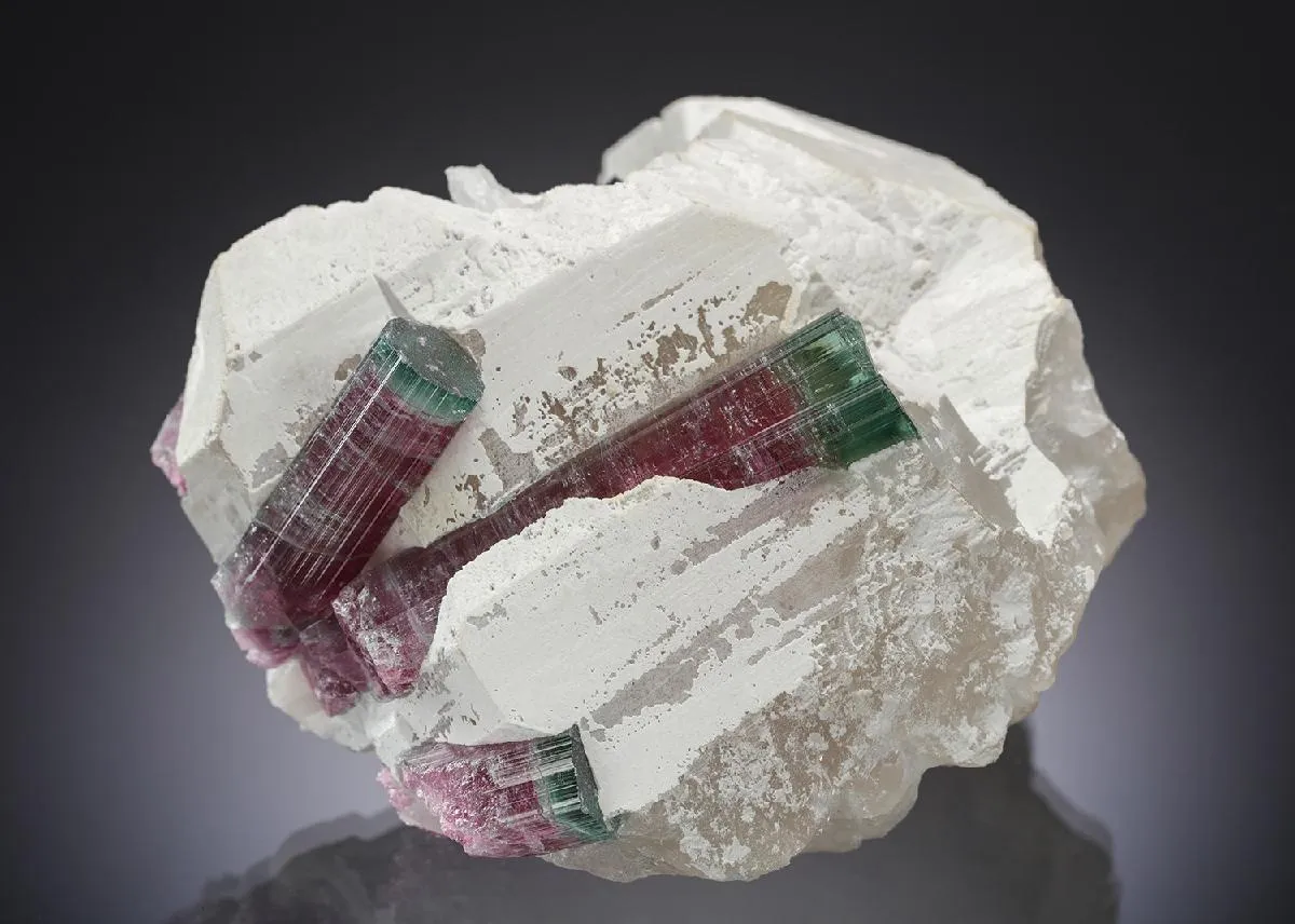 Tourmaline in Quartz - image 1
