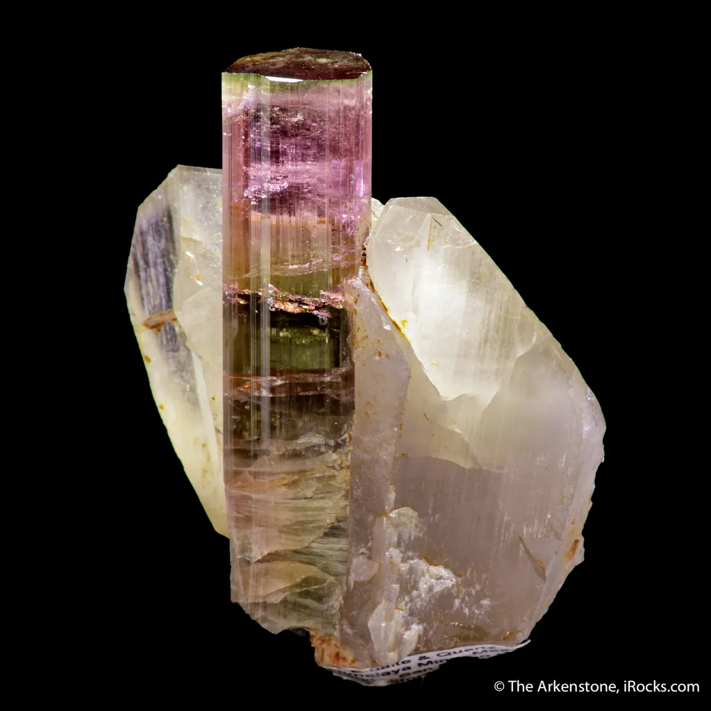 Tourmaline in Quartz image