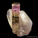Tourmaline in Quartz - image 1
