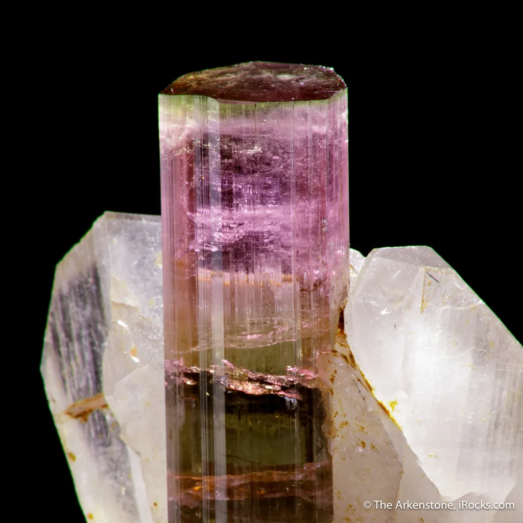 Tourmaline in Quartz - image 2