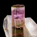 Tourmaline in Quartz - image 2
